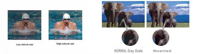 adjustable display led 7