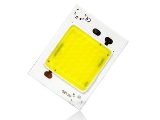 MUENLED- 20W AC-COB Light