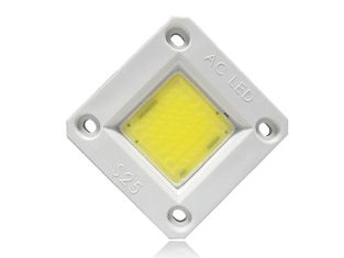 MUENLED- 100W AC-COB Light